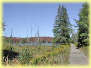 Seguin Trail by a lake
