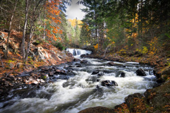 Brook's Falls in the Fall