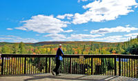 Arrowhead Park Lookout