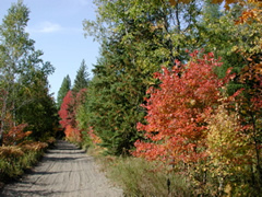 Seguin Trail by a lake