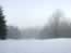 Foggy morning