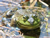 Pedro's Happy Frog