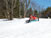 toboggan down the hill