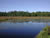 Nearby Pond