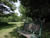 bench under tree